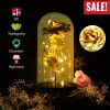 Foil Rose LED String Light Rose Fairy Lamp w/ Glass Dome For Valentines’ Day Mother’s Day Wedding Birthday